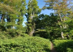 PHOTO-2025-09-20-16-48-04 PHOTO-2025-09-20-16-48-04