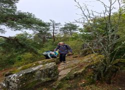 PHOTO-2025-09-26-02-04-54_16 PHOTO-2025-09-26-02-04-54_16