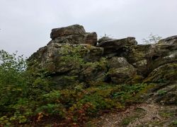 PHOTO-2025-09-26-02-04-54_3 PHOTO-2025-09-26-02-04-54_3