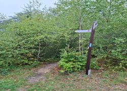 PHOTO-2025-09-26-02-04-54_4 PHOTO-2025-09-26-02-04-54_4