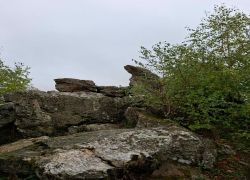 PHOTO-2025-09-26-02-04-54_5 PHOTO-2025-09-26-02-04-54_5