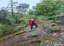 PHOTO-2025-09-26-02-04-54_6 PHOTO-2025-09-26-02-04-54_6