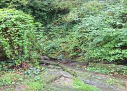 PHOTO-2025-09-26-02-04-55_2 PHOTO-2025-09-26-02-04-55_2