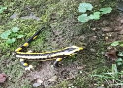 PHOTO-2025-09-26-02-04-55_3 PHOTO-2025-09-26-02-04-55_3