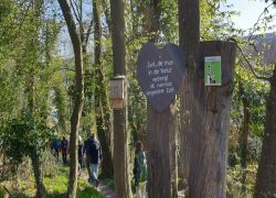 20250406_095333 20250406_095333