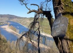 20250406_104340 20250406_104340