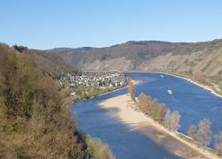 20250406_104459 20250406_104459