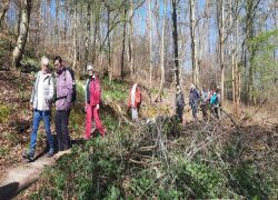 20250406_105855 20250406_105855