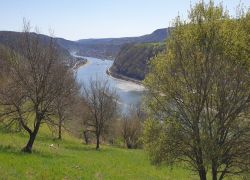 20250406_131457 20250406_131457