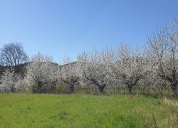 20250406_135708 20250406_135708