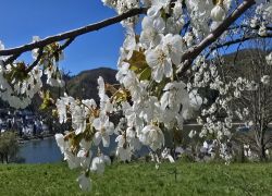 20250406_140414 20250406_140414