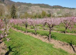 20250406_141408 20250406_141408