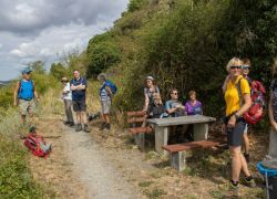 Kaub_-_St.GOH_2025-07-20_-___0012_3240x2160