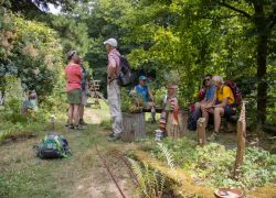 Kaub_-_St.GOH_2025-07-20_-___0041_3240x2160