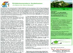 1-Andalusien-Hompage._2