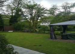 01c405f2-878b-453e-9910-750aaef33529