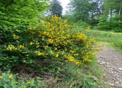 1c6f1c94-3a90-4544-b0f1-41bec3d2346d