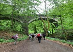 1f110007-6488-4b97-9e5f-351613cdea74