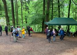 3866df6f-0d5c-4cb2-aa57-935b4dea743f