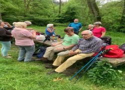 507a4c74-18f8-4e20-bd12-51eaffa9b7bb