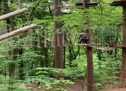 593c0496-ff64-4110-b6fb-65983ce49035