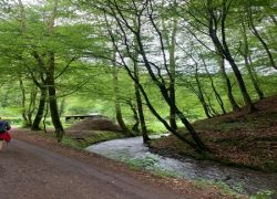 5d08cb8a-d74b-44a4-a7b7-9d48abe21f72