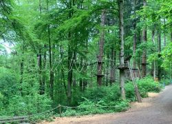 e6195c6e-e0c1-45cd-b931-c9cbdcf705b1