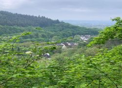 f4784bdf-e1be-4cdd-a348-e64485904b1e