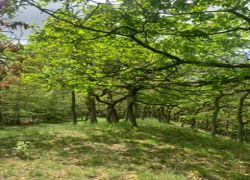 4b09b28e-7231-4f1c-ae79-01774663081b