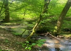 672a5376-1a1b-4b9b-b9f4-11c369303ddf