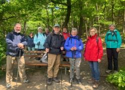 8de4927f-b875-4f52-9aa8-71d5d72bb688