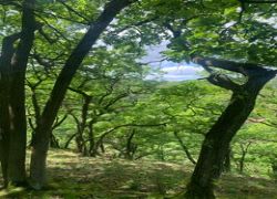 eaeba3fe-2ba5-4dec-ac8f-7b7867f31adc