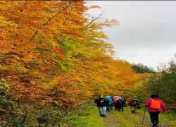 Screenshot_20231108-090817_WhatsApp