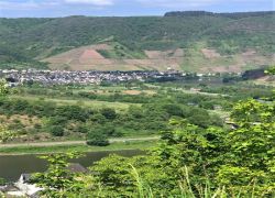 Neef-Bullay_über_Eulenköpfchen_2