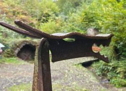 57016202-E31A-4376-B7D1-F6317BDB5294