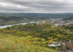 BF9928C7-BF30-474D-96B2-B7FC39DF16B4