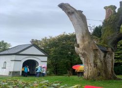 D60EA3D2-CC39-4BE0-A0C6-4E906BB2BA18