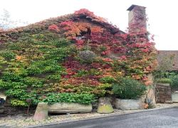 ECC0910B-CDC0-42E9-964D-8829772E8FEF