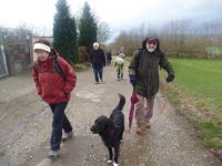 Seniorenwanderung-01.02.2018_005 Seniorenwanderung-01.02.2018_005