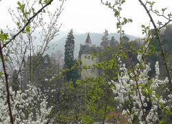 Bopparder_Ansichten2