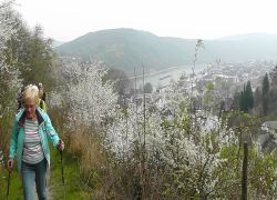 Bopparder_Ansichten3