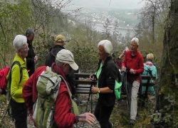 Bopparder_Ansichten4