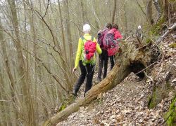 Bopparder_Ansichten5