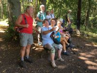 Der_Stadtwald_ruft_schon_wieder1