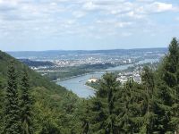 Der_Stadtwald_ruft_schon_wieder6