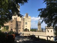 Der_Stadtwald_ruft_schon_wieder8