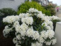 Wanderung-24.04.2018_001 Wanderung-24.04.2018_001