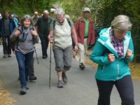 Wanderung-24.04.2018_016 Wanderung-24.04.2018_016