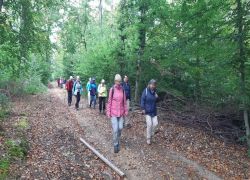 Guldental_10 Guldental_10