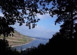 Guldental_14 Guldental_14